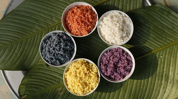 Du lịch Ba Bể - Hồng Thái - Na Hang 3 ngày 2 đêm
