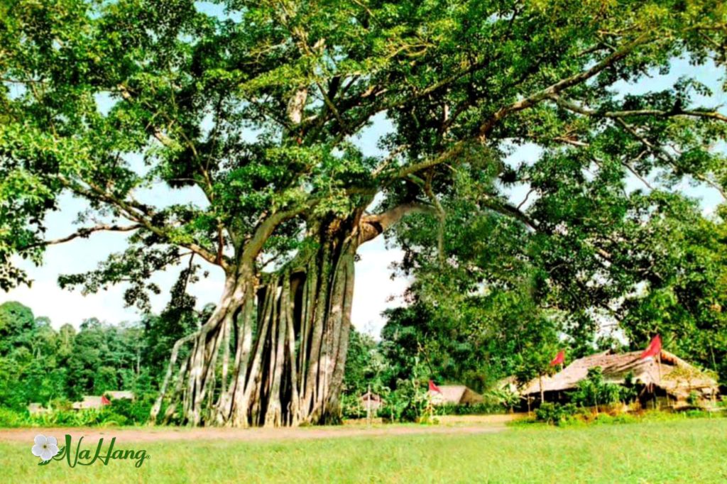 Du lịch Tân Trào 2 ngày 1 đêm